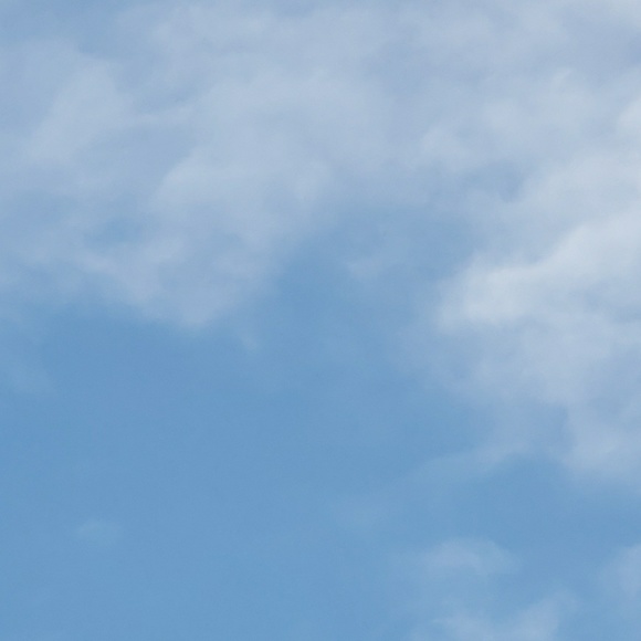 Meet your Posher, Maureen - Picture 1 of 1